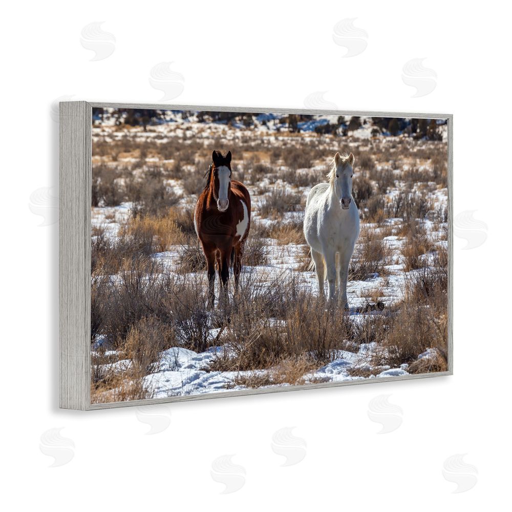 Jeff Poe Photography Arches Horse Pair in Snow Gray Framed Giclee Wall Art Print