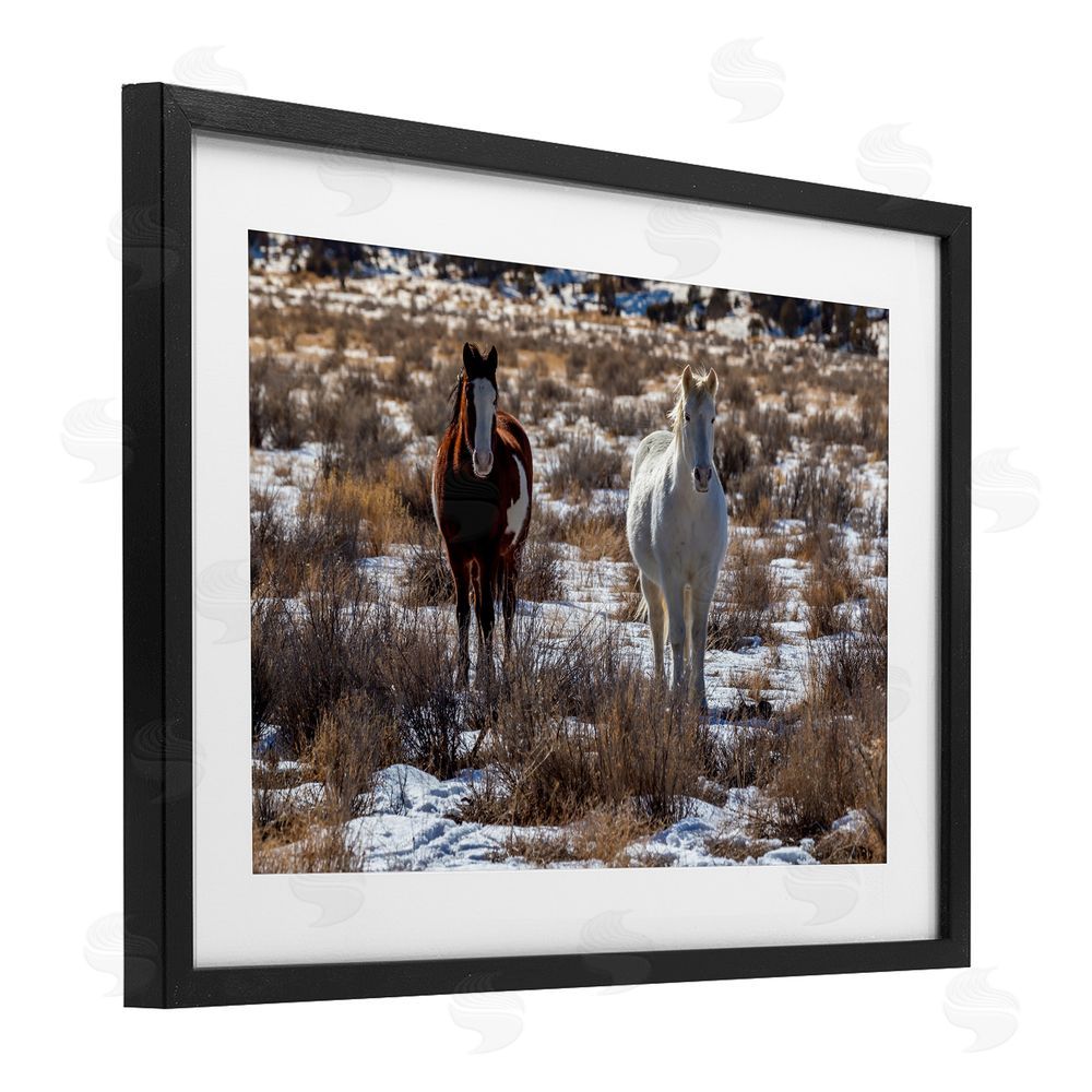 Jeff Poe Photography Arches Horse Pair in Snow Black Framed Print Under Glass with White Mat Wall Art