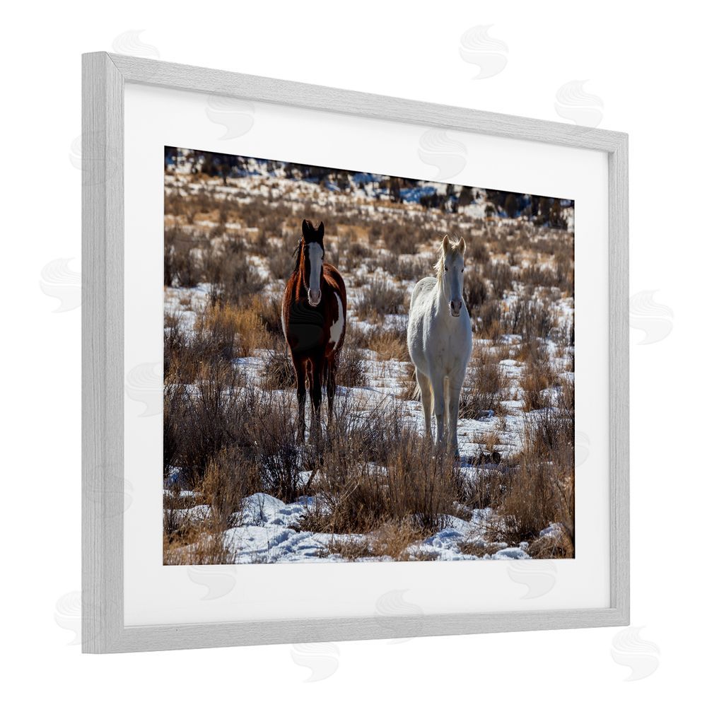 Jeff Poe Photography Arches Horse Pair in Snow Gray Framed Print Under Glass with White Mat Wall Art