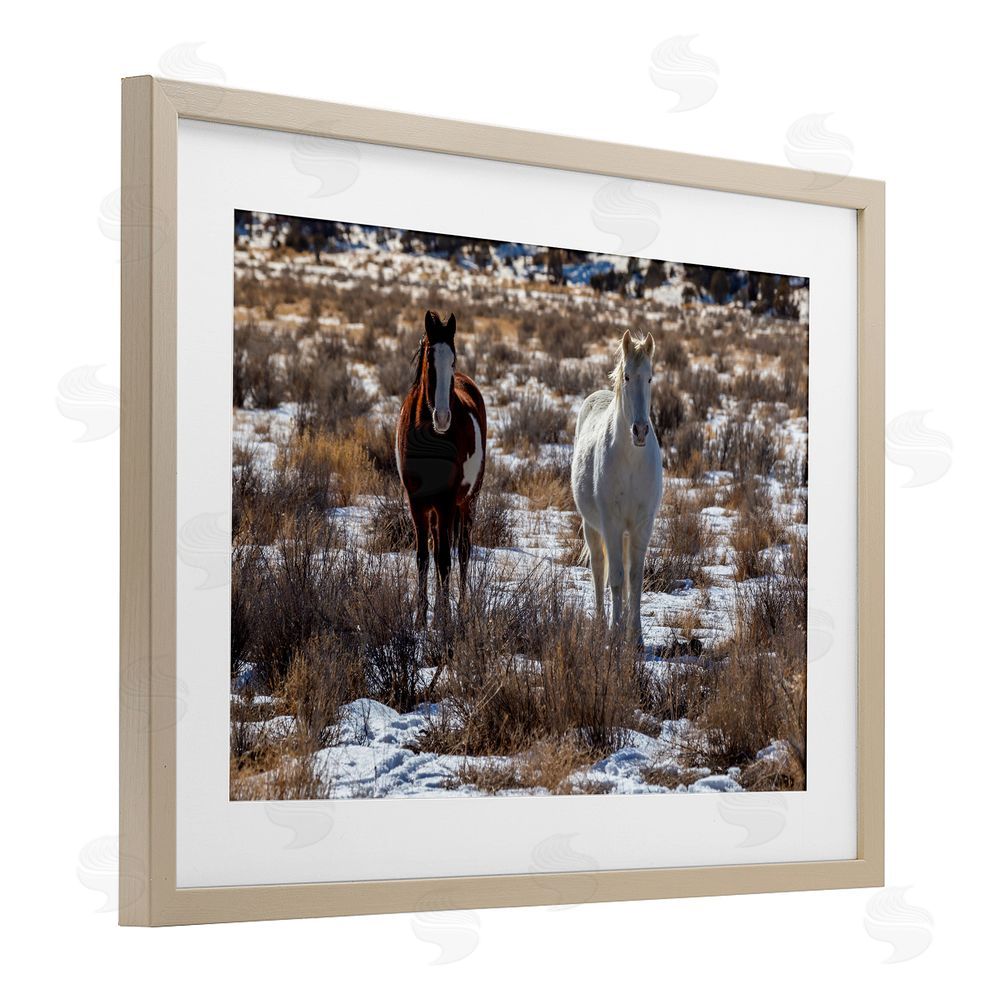 Jeff Poe Photography Arches Horse Pair in Snow Birch Framed Print Under Glass with White Mat Wall Art
