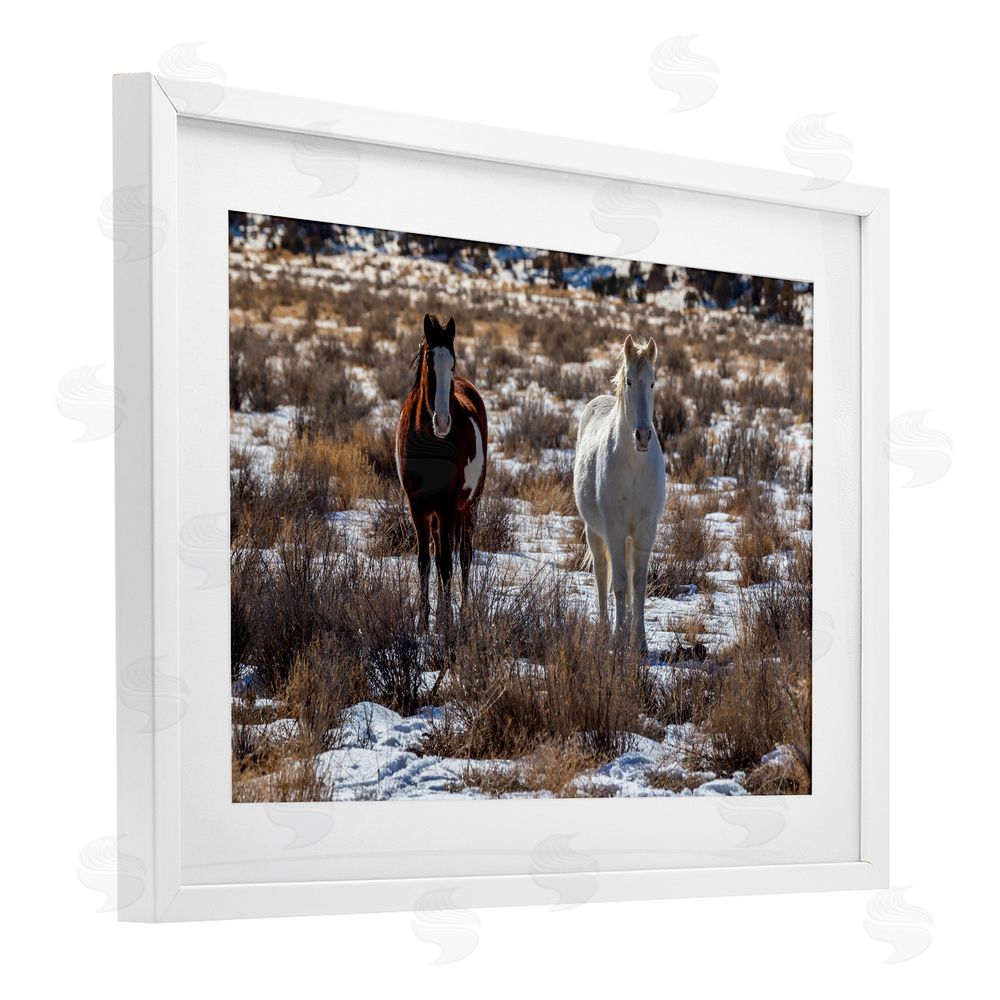 Jeff Poe Photography Arches Horse Pair in Snow White Framed Print Under Glass with Mat Wall Art