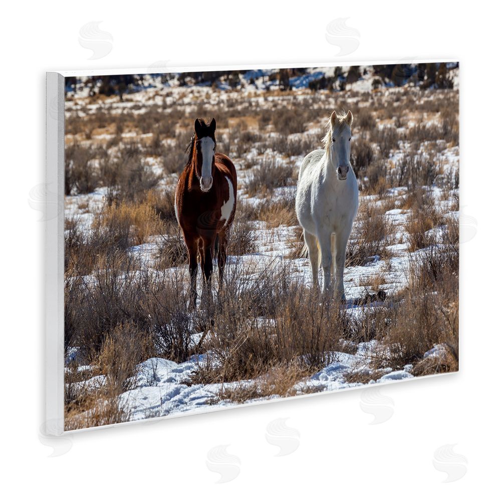 Jeff Poe Photography Arches Horse Pair in Snow Wall Plaque Art Print