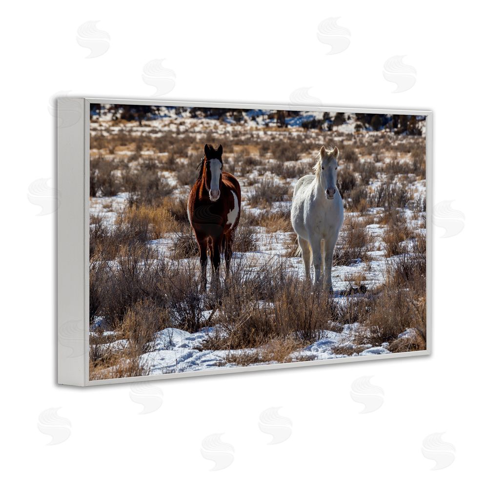 Jeff Poe Photography Arches Horse Pair in Snow White Framed Giclee Wall Art Print