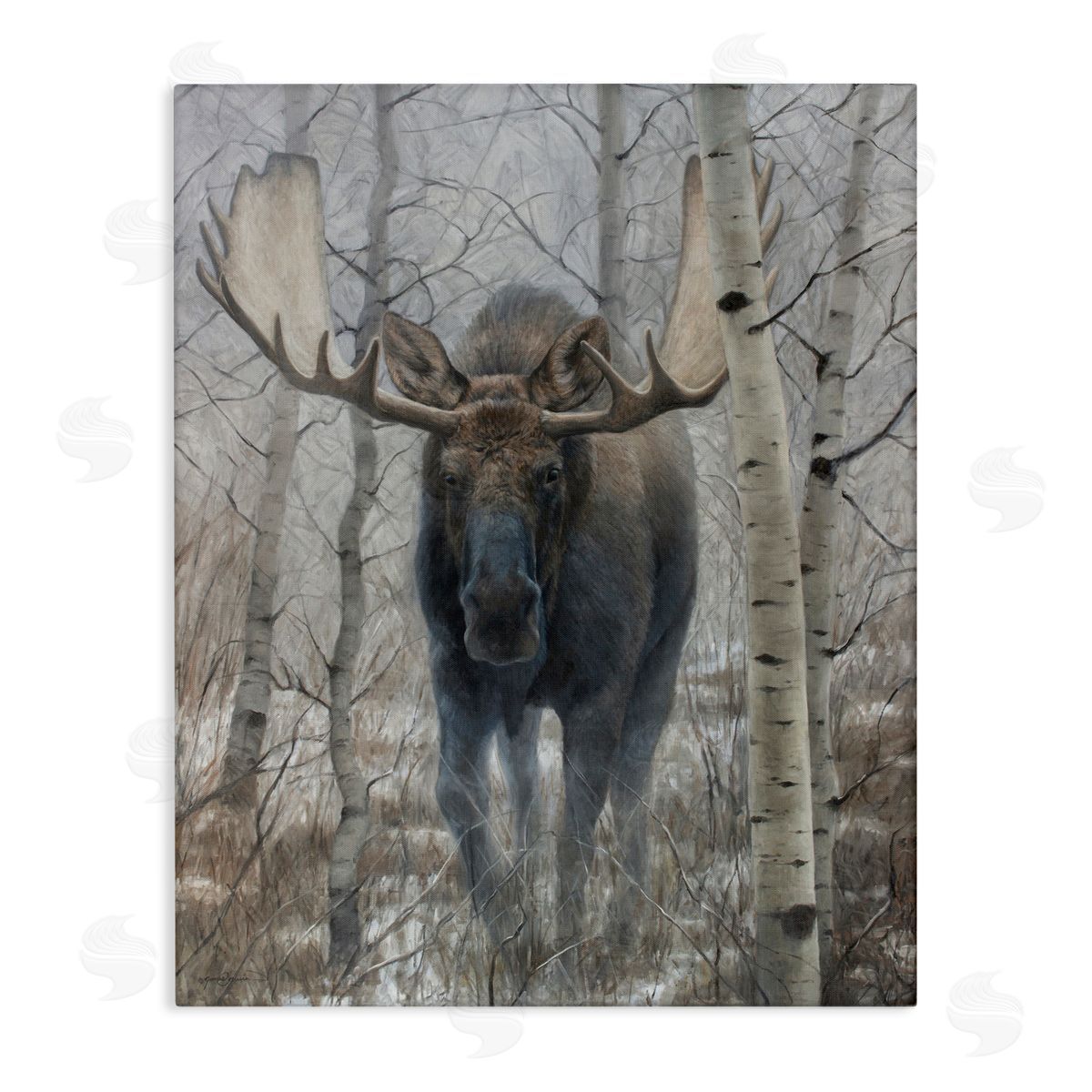 James Corwin Moose in Winter Birch Forest Canvas Wall Art Print