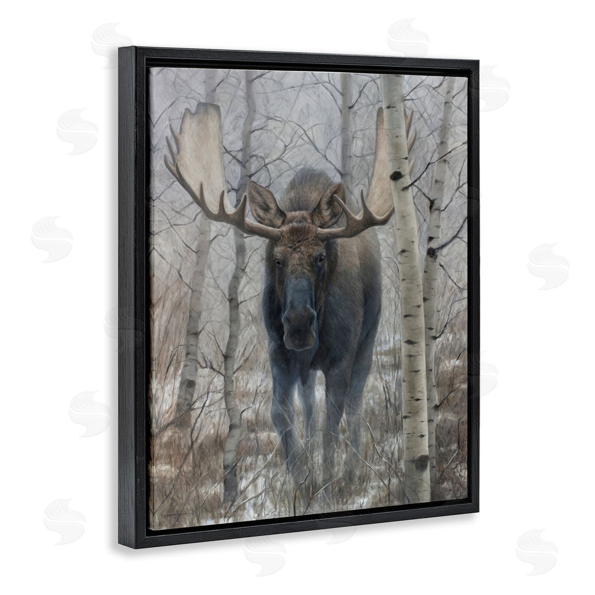James Corwin Moose in Winter Birch Forest Black Floating Frame Canvas Wall Art Print