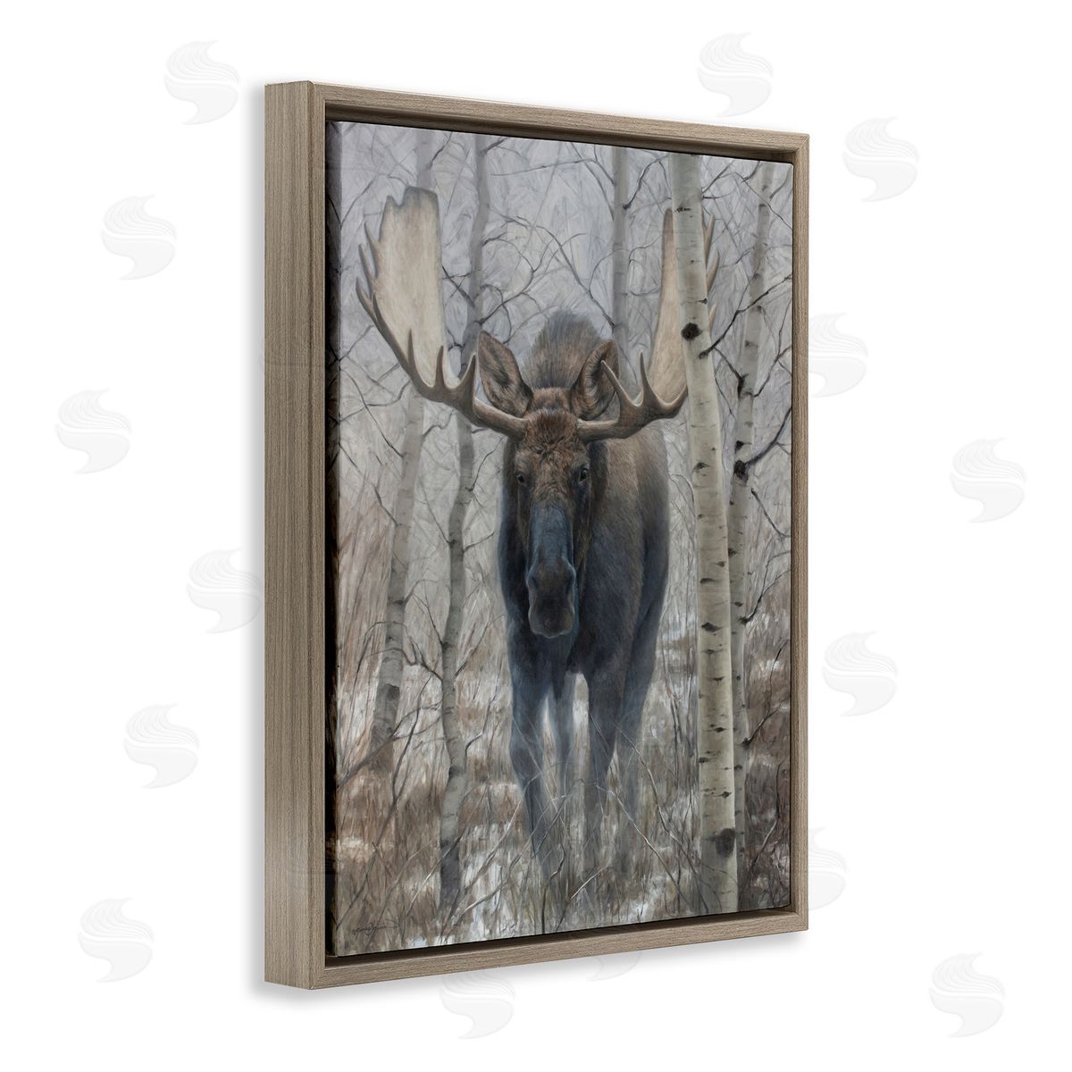 James Corwin Moose in Winter Birch Forest Brown Floating Frame Canvas Wall Art Print