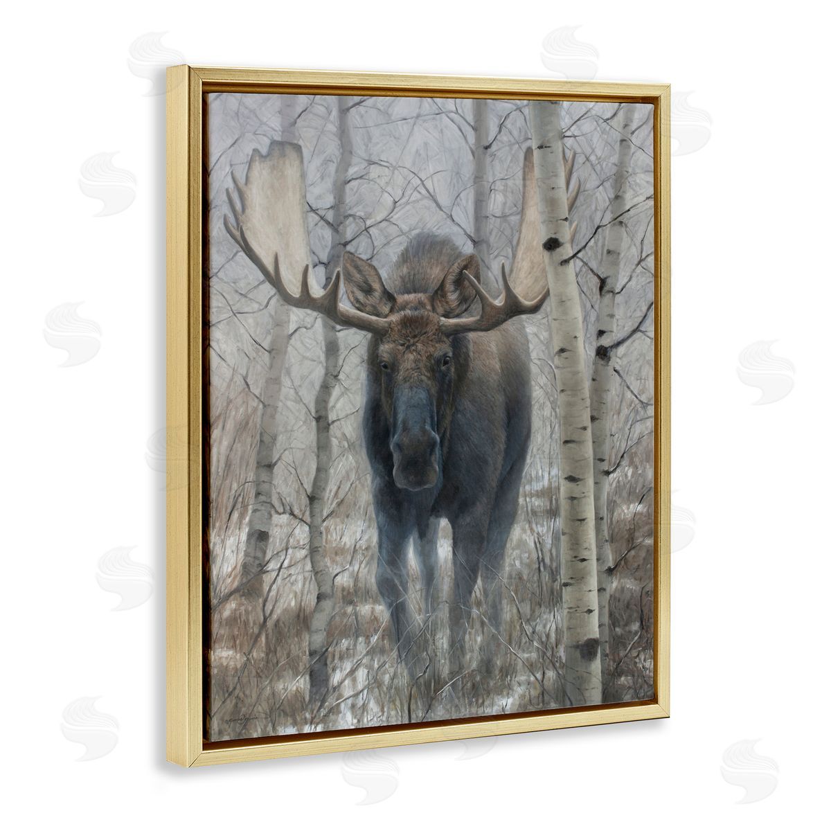 James Corwin Moose in Winter Birch Forest Gold Floating Frame Canvas Wall Art Print