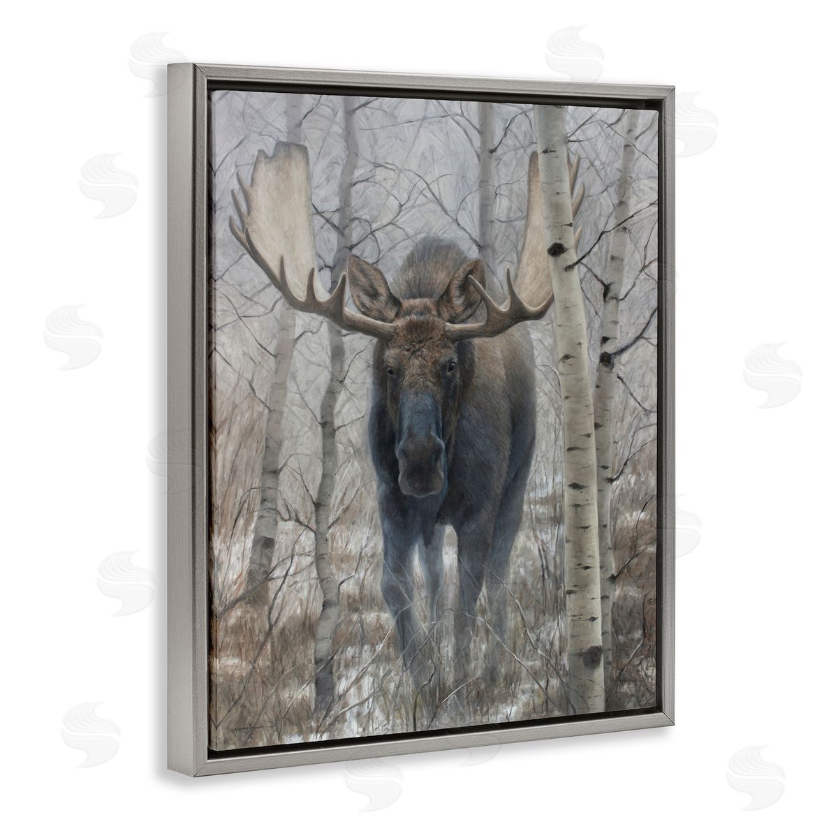 James Corwin Moose in Winter Birch Forest Gray Floating Frame Canvas Wall Art Print