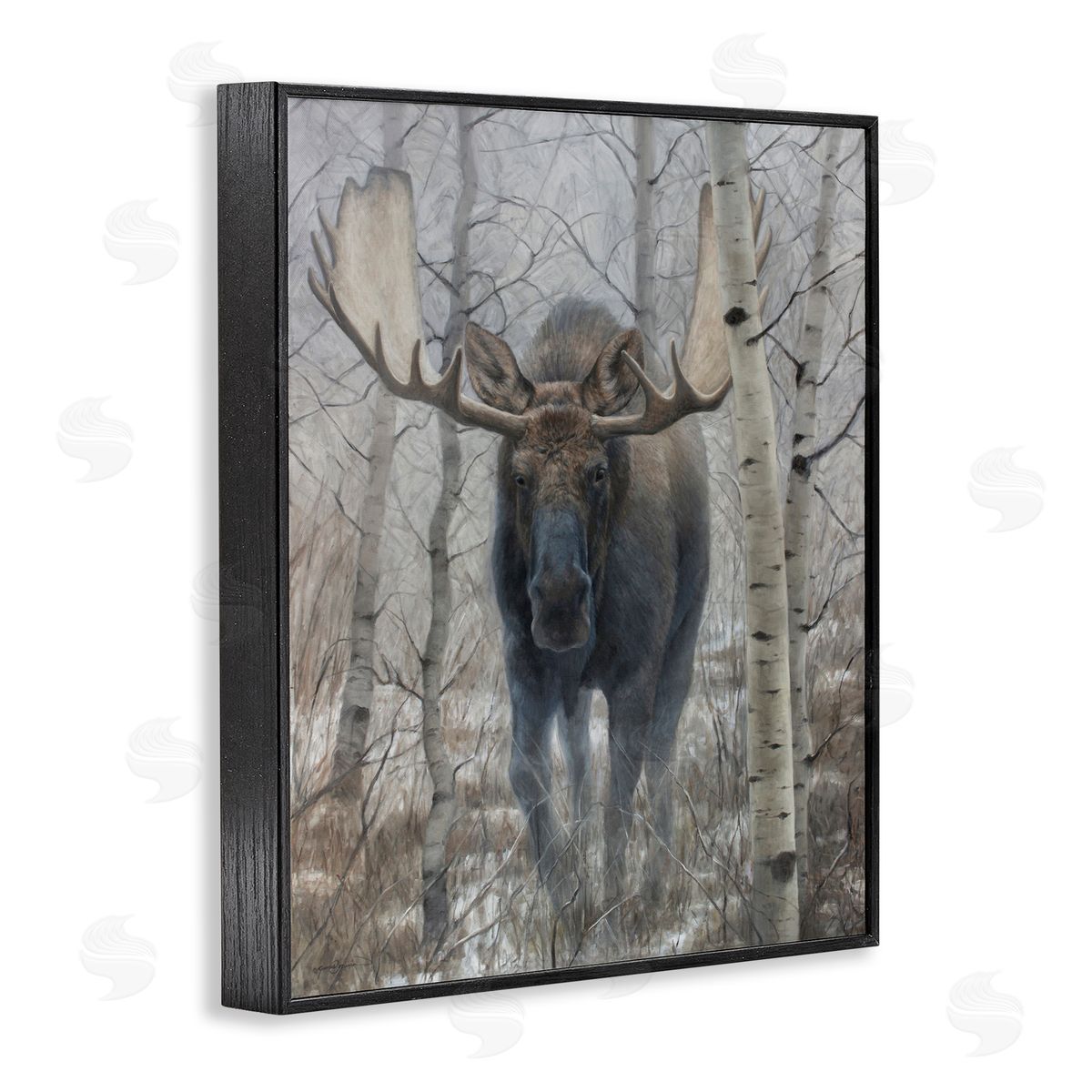 James Corwin Moose in Winter Birch Forest Black Framed Giclee Wall Art Print