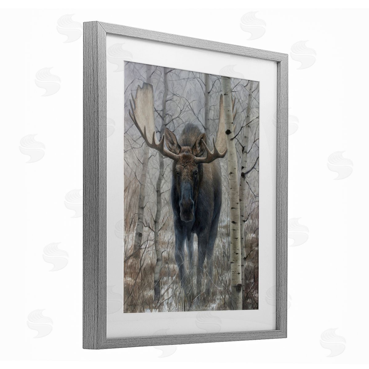 James Corwin Moose in Winter Birch Forest Gray Framed Print Under Glass with White Mat Wall Art