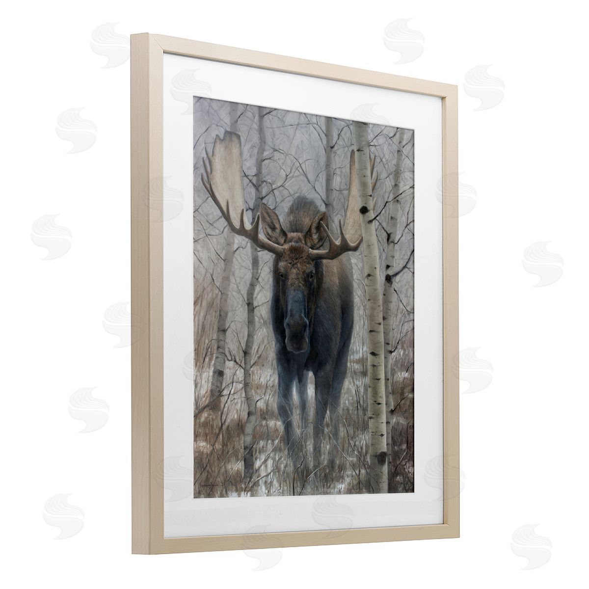 James Corwin Moose in Winter Birch Forest Birch Framed Print Under Glass with White Mat Wall Art