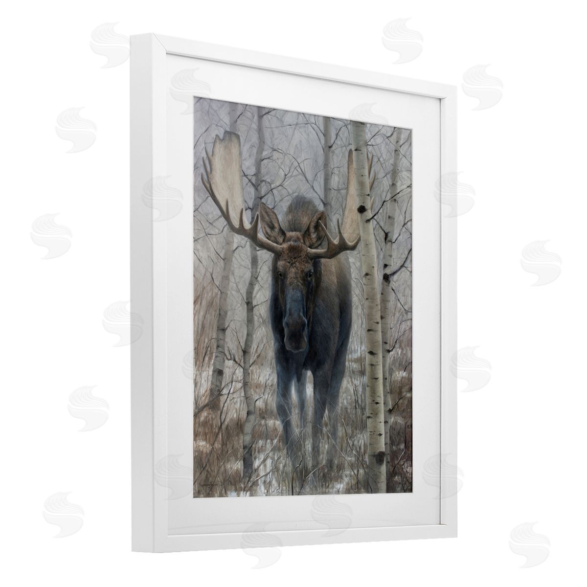 James Corwin Moose in Winter Birch Forest White Framed Print Under Glass with Mat Wall Art