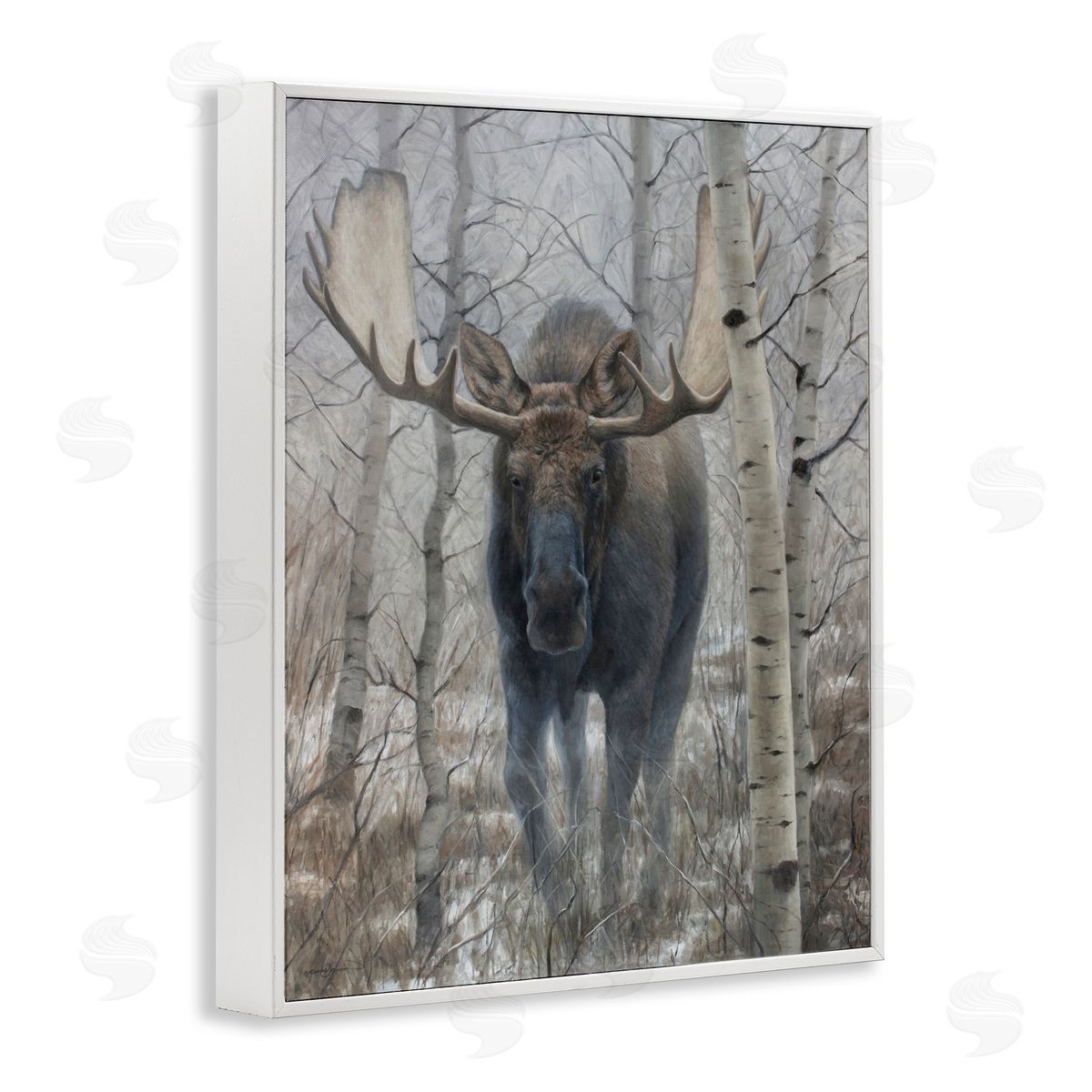 James Corwin Moose in Winter Birch Forest White Framed Giclee Wall Art Print