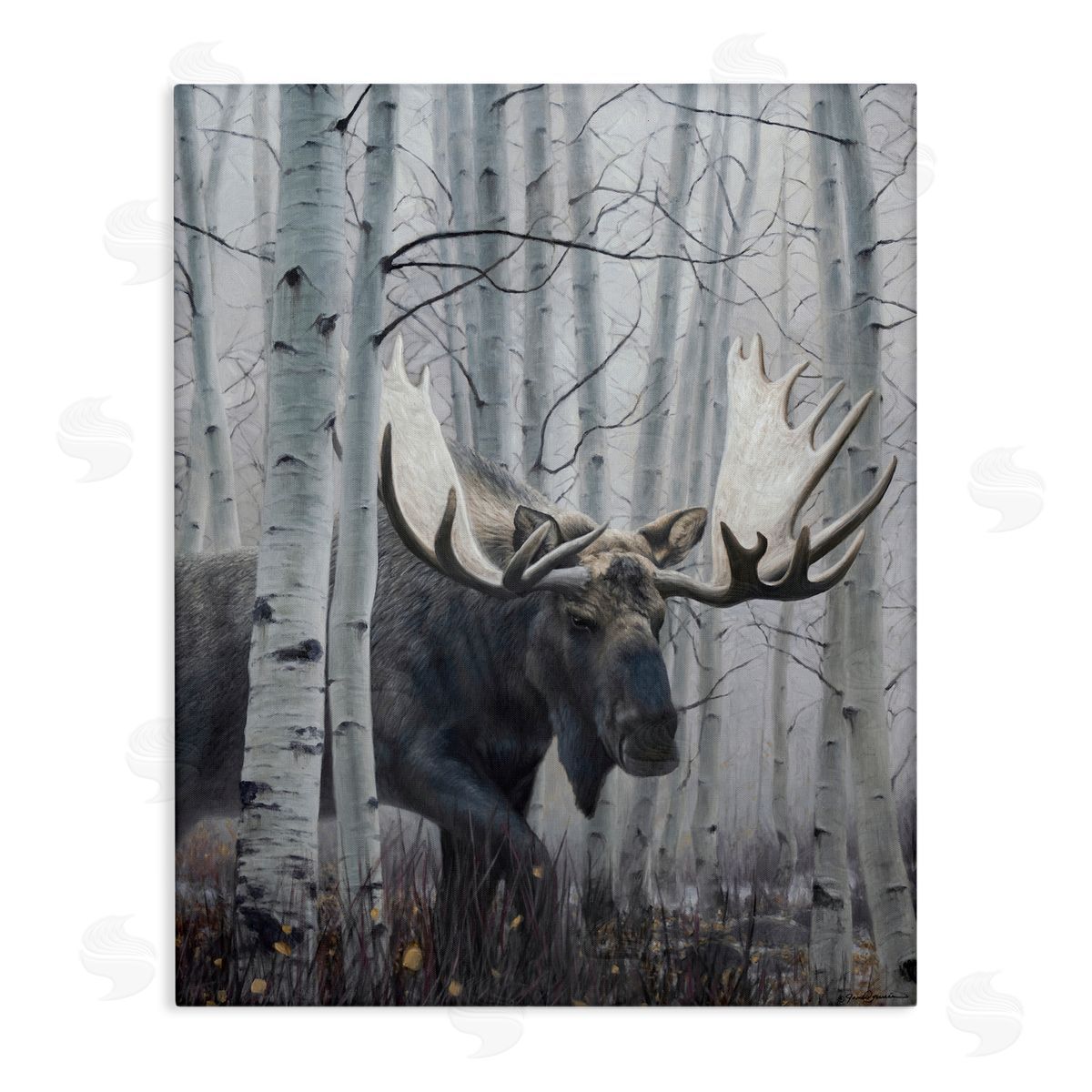 James Corwin Moose Peering in Birch Woods Canvas Wall Art Print