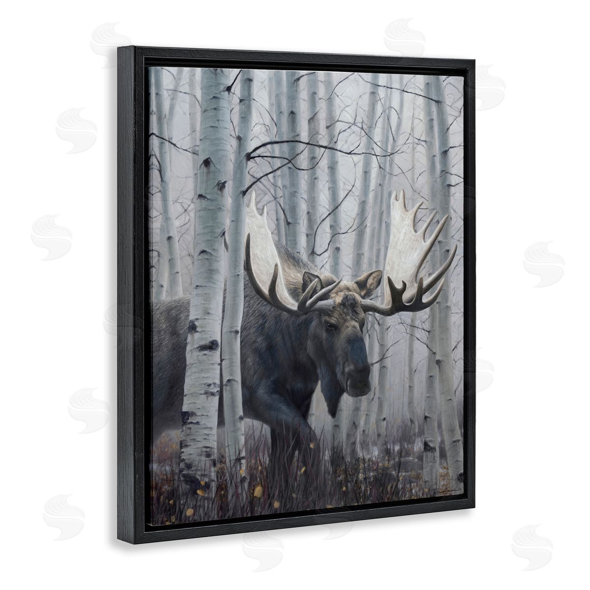 James Corwin Moose Peering in Birch Woods Black Floating Frame Canvas Wall Art Print