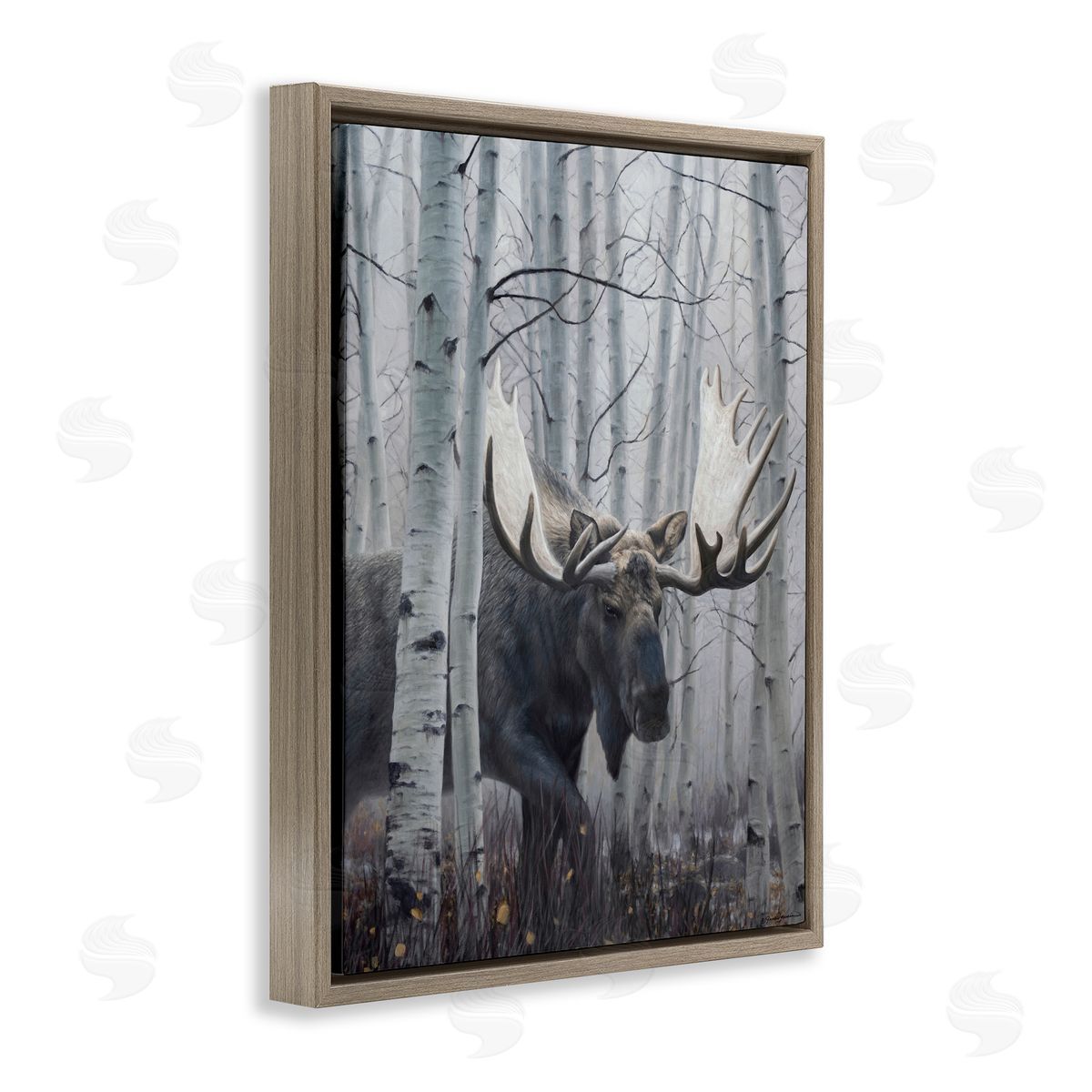 James Corwin Moose Peering in Birch Woods Brown Floating Frame Canvas Wall Art Print