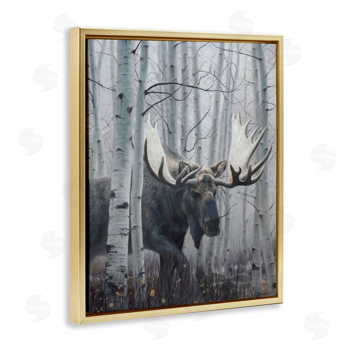 James Corwin Moose Peering in Birch Woods Gold Floating Frame Canvas Wall Art Print