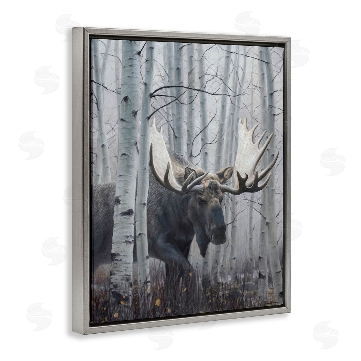 James Corwin Moose Peering in Birch Woods Gray Floating Frame Canvas Wall Art Print