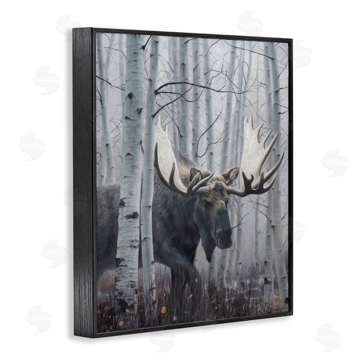 James Corwin Moose Peering in Birch Woods Black Framed Giclee Wall Art Print