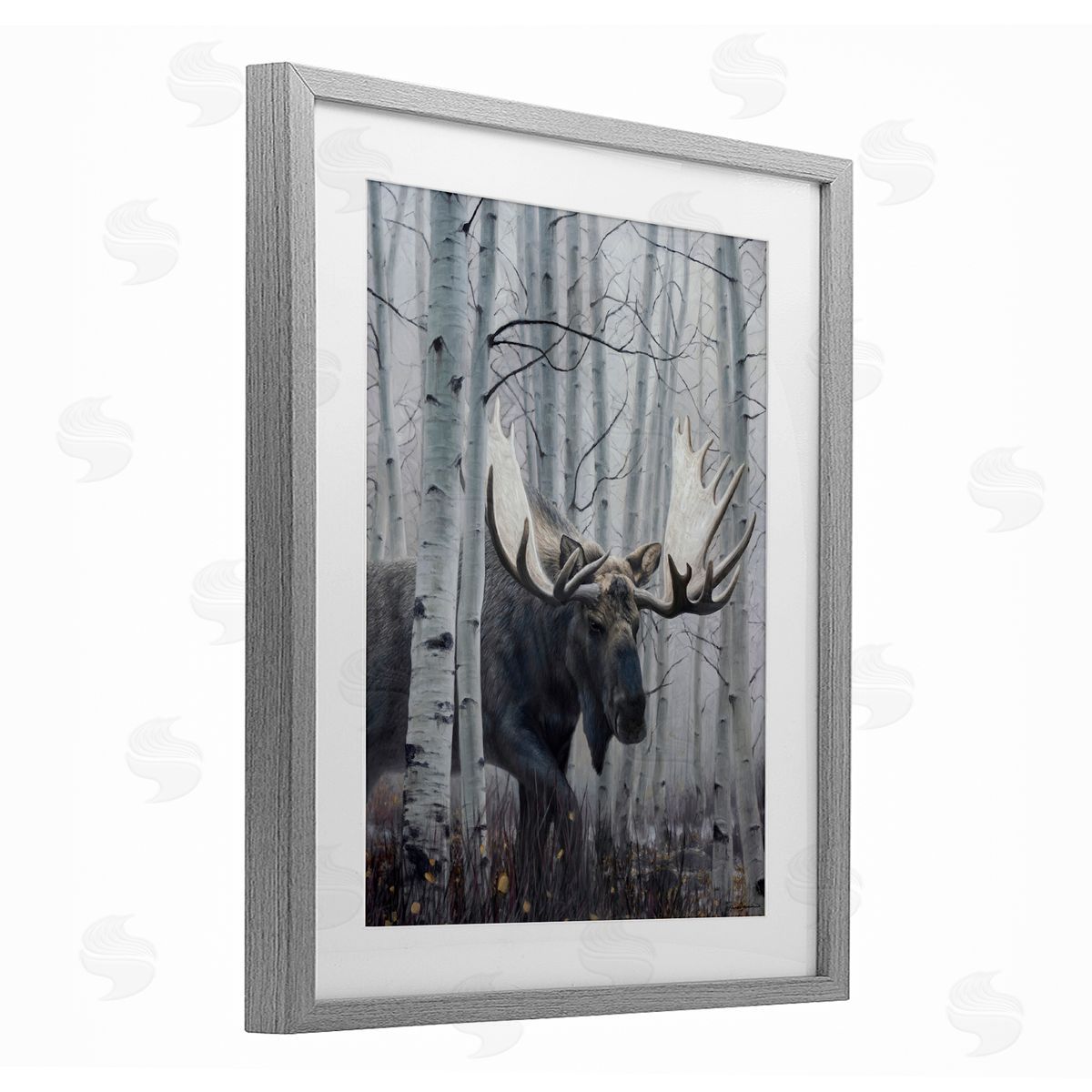 James Corwin Moose Peering in Birch Woods Gray Framed Print Under Glass with White Mat Wall Art
