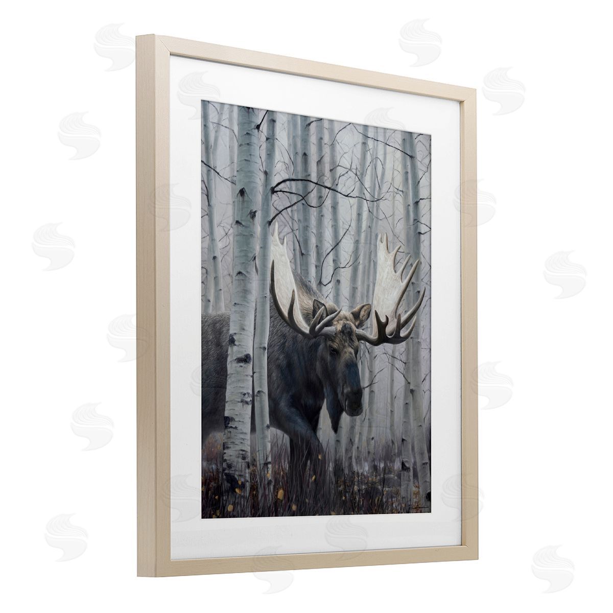James Corwin Moose Peering in Birch Woods Birch Framed Print Under Glass with White Mat Wall Art
