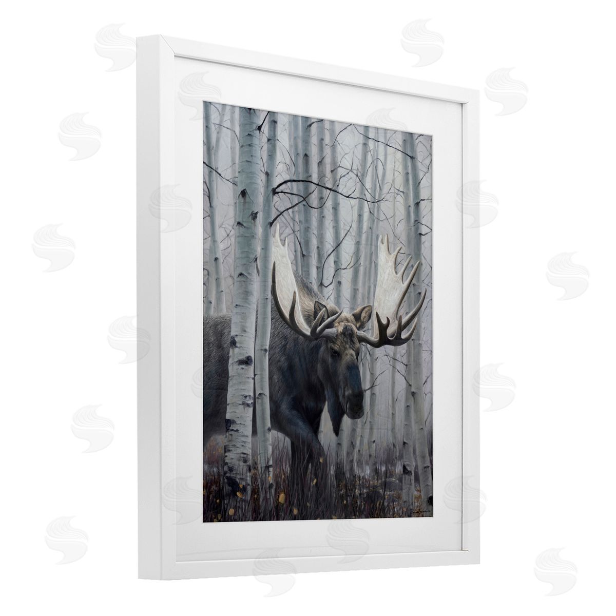 James Corwin Moose Peering in Birch Woods White Framed Print Under Glass with Mat Wall Art