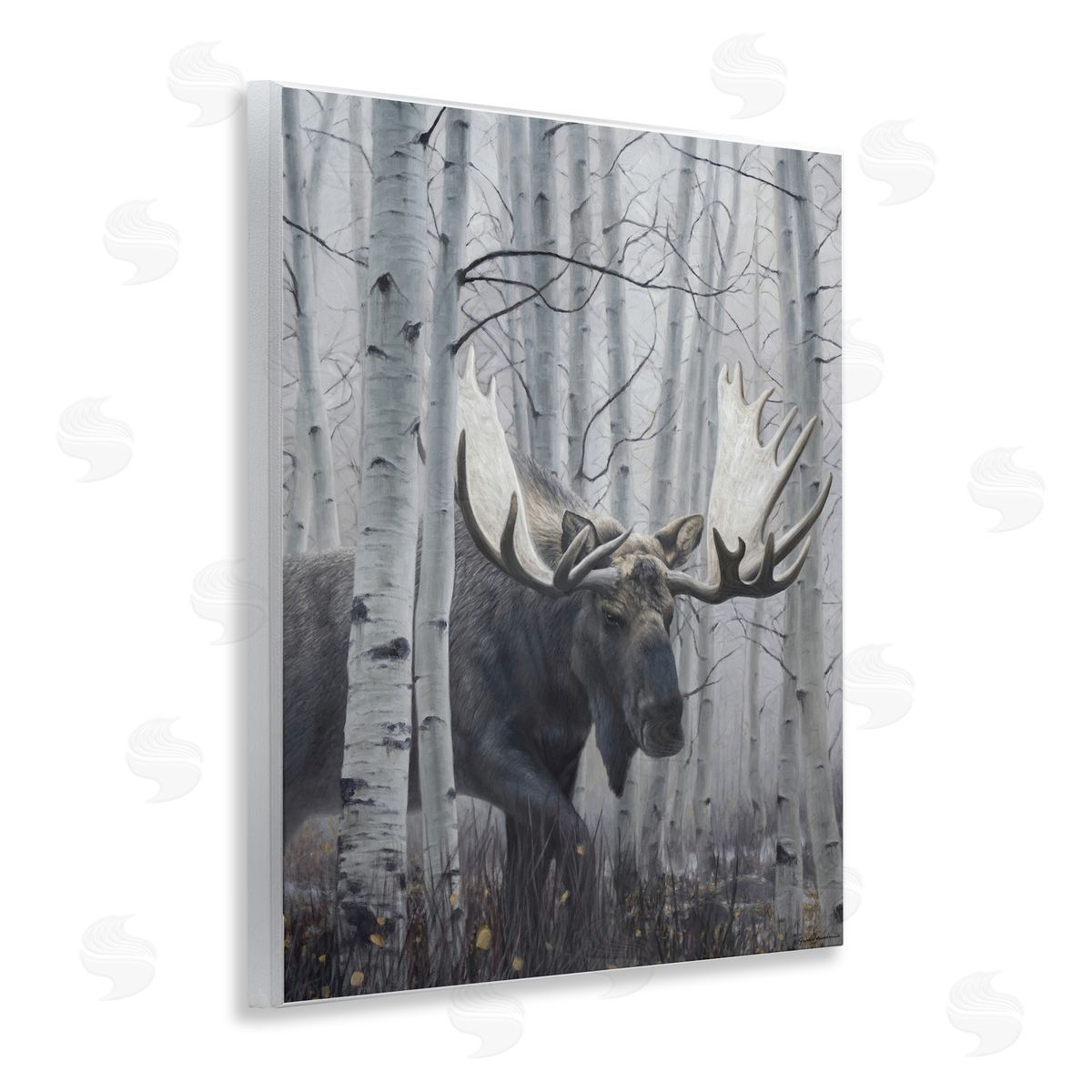 James Corwin Moose Peering in Birch Woods Wall Plaque Art Print