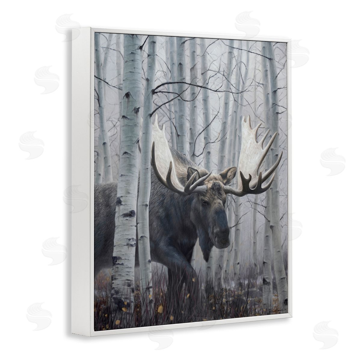 James Corwin Moose Peering in Birch Woods White Framed Giclee Wall Art Print
