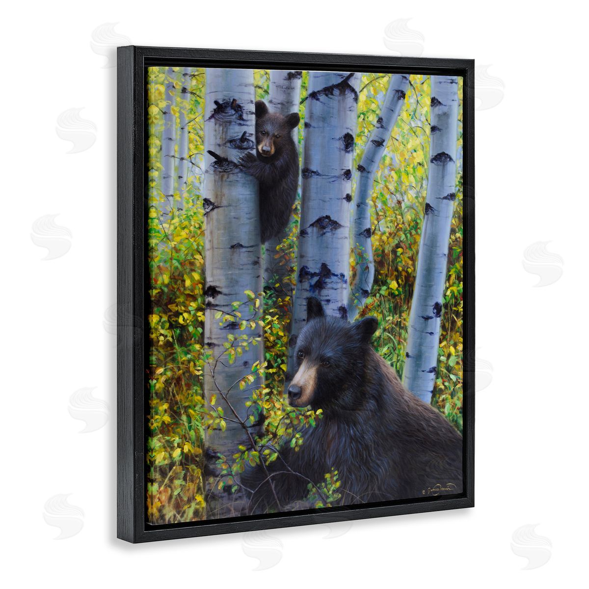 James Corwin Two Bears in Fall Wilderness Black Floating Frame Canvas Wall Art Print