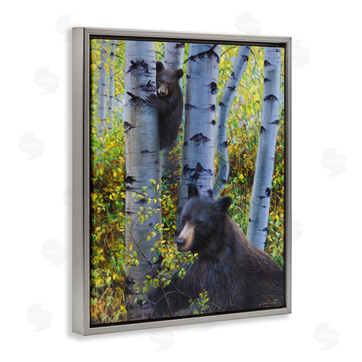 James Corwin Two Bears in Fall Wilderness Gray Floating Frame Canvas Wall Art Print