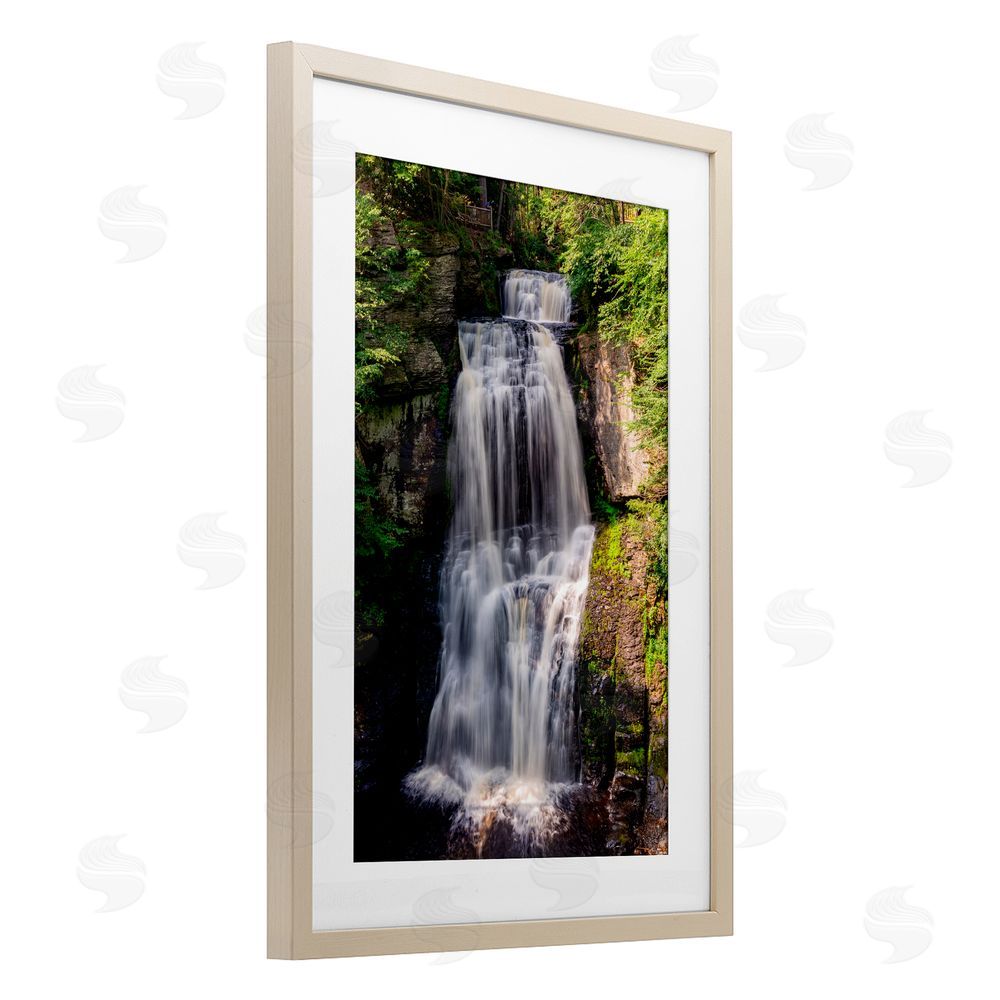 Jeff Poe Photography Cascading Forest Waterfall Birch Framed Print Under Glass with White Mat Wall Art