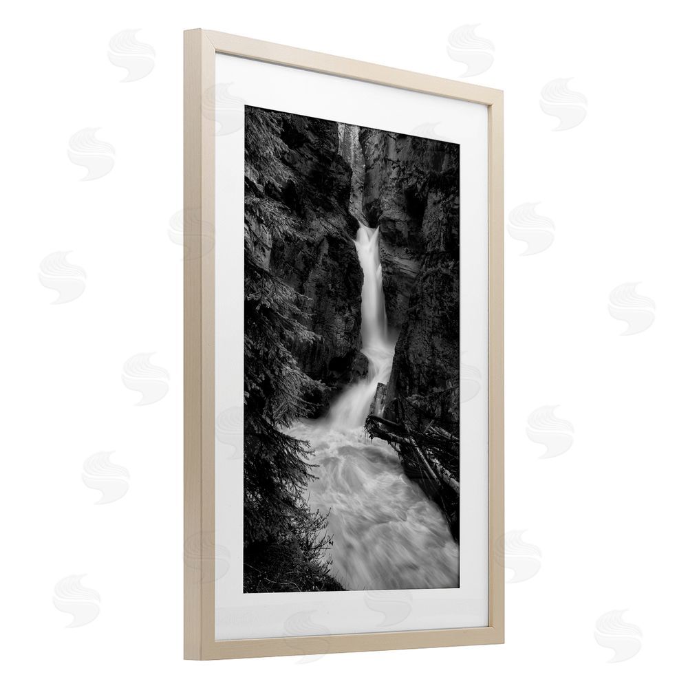 Jon Evan Banff National Park Waterfall Birch Framed Print Under Glass with White Mat Wall Art