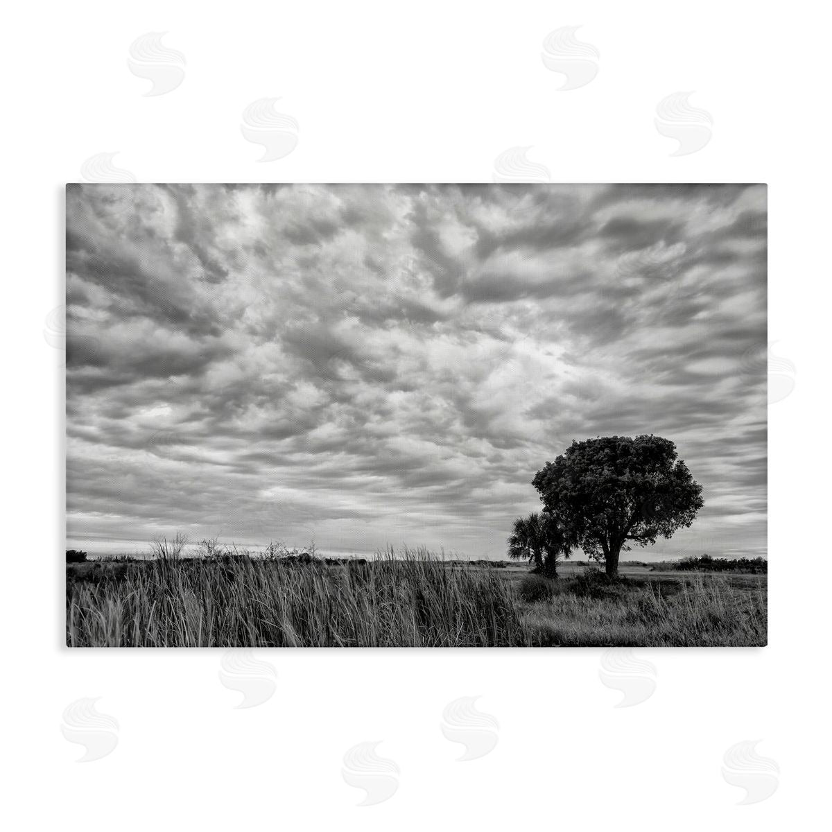 Jon Evan The Right Tree Cloudscape Canvas Wall Art Print