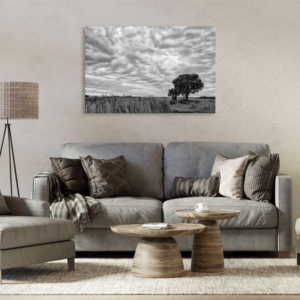 Jon Evan The Right Tree Cloudscape Canvas Art on Wall