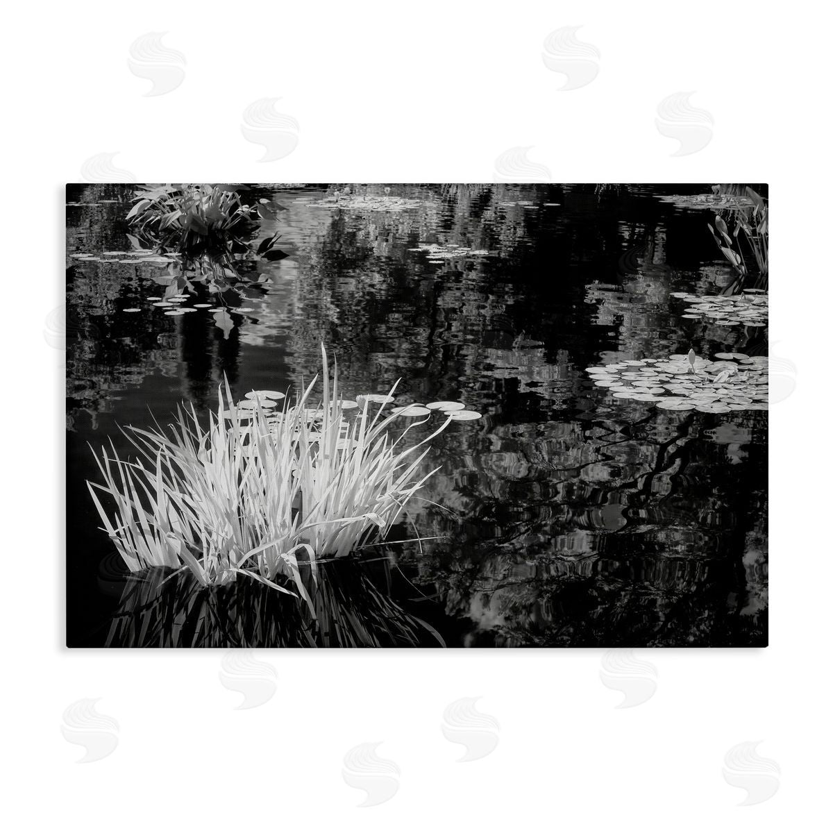 Jon Evan Water Grasses In A Pond Canvas Wall Art Print