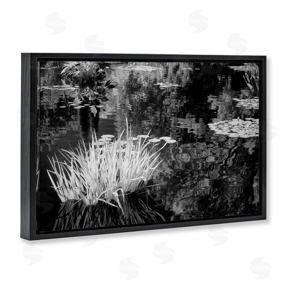 Jon Evan Water Grasses In A Pond Black Floating Frame Canvas Wall Art Print