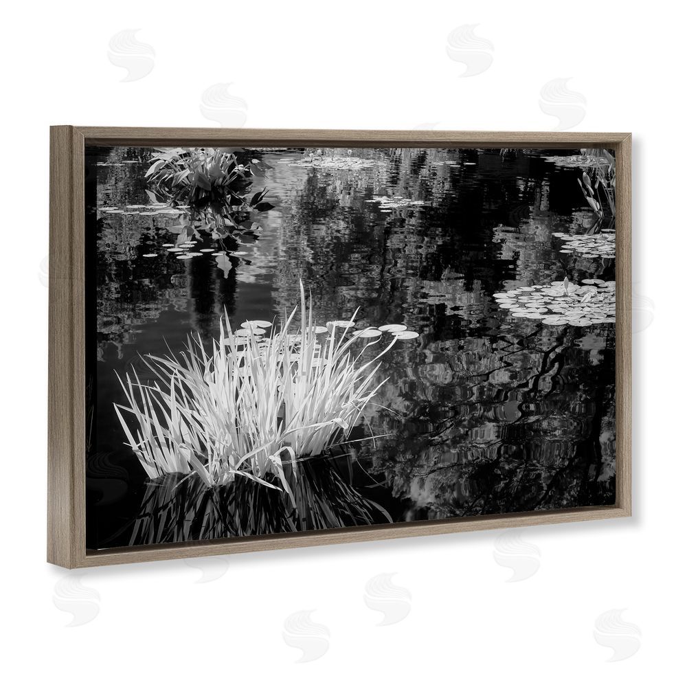 Jon Evan Water Grasses In A Pond Brown Floating Frame Canvas Wall Art Print