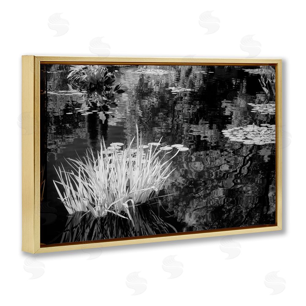 Jon Evan Water Grasses In A Pond Gold Floating Frame Canvas Wall Art Print