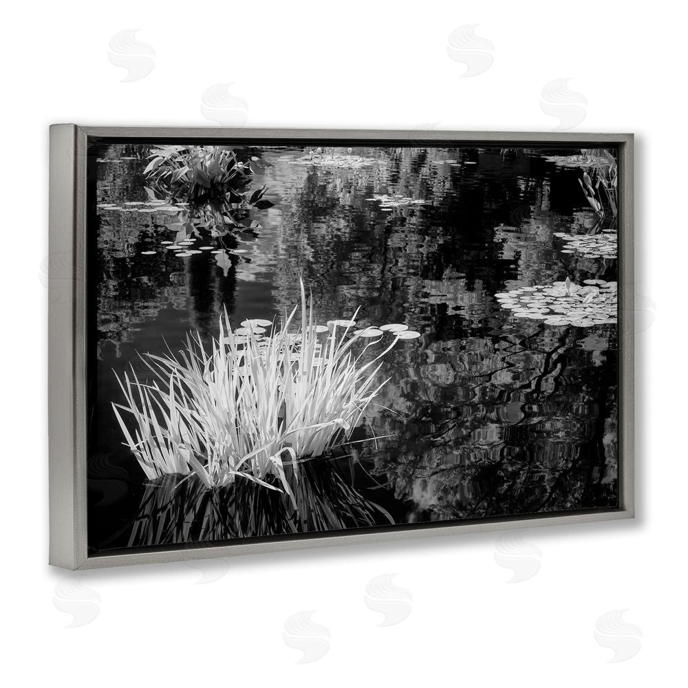 Jon Evan Water Grasses In A Pond Gray Floating Frame Canvas Wall Art Print