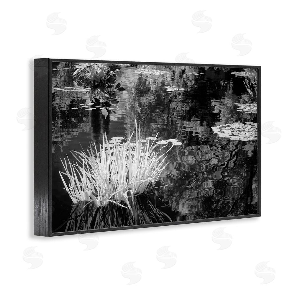 Jon Evan Water Grasses In A Pond Black Framed Giclee Wall Art Print
