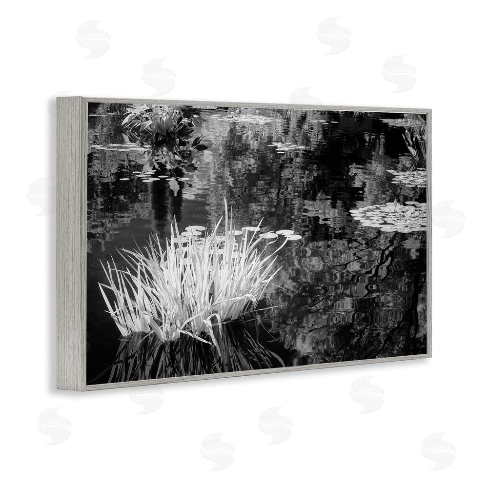 Jon Evan Water Grasses In A Pond Gray Framed Giclee Wall Art Print