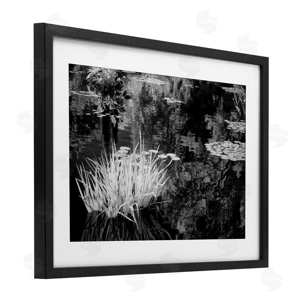 Jon Evan Water Grasses In A Pond Black Framed Print Under Glass with White Mat Wall Art