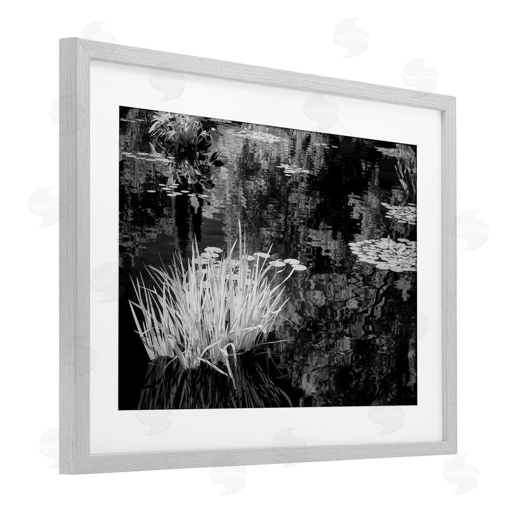 Jon Evan Water Grasses In A Pond Gray Framed Print Under Glass with White Mat Wall Art