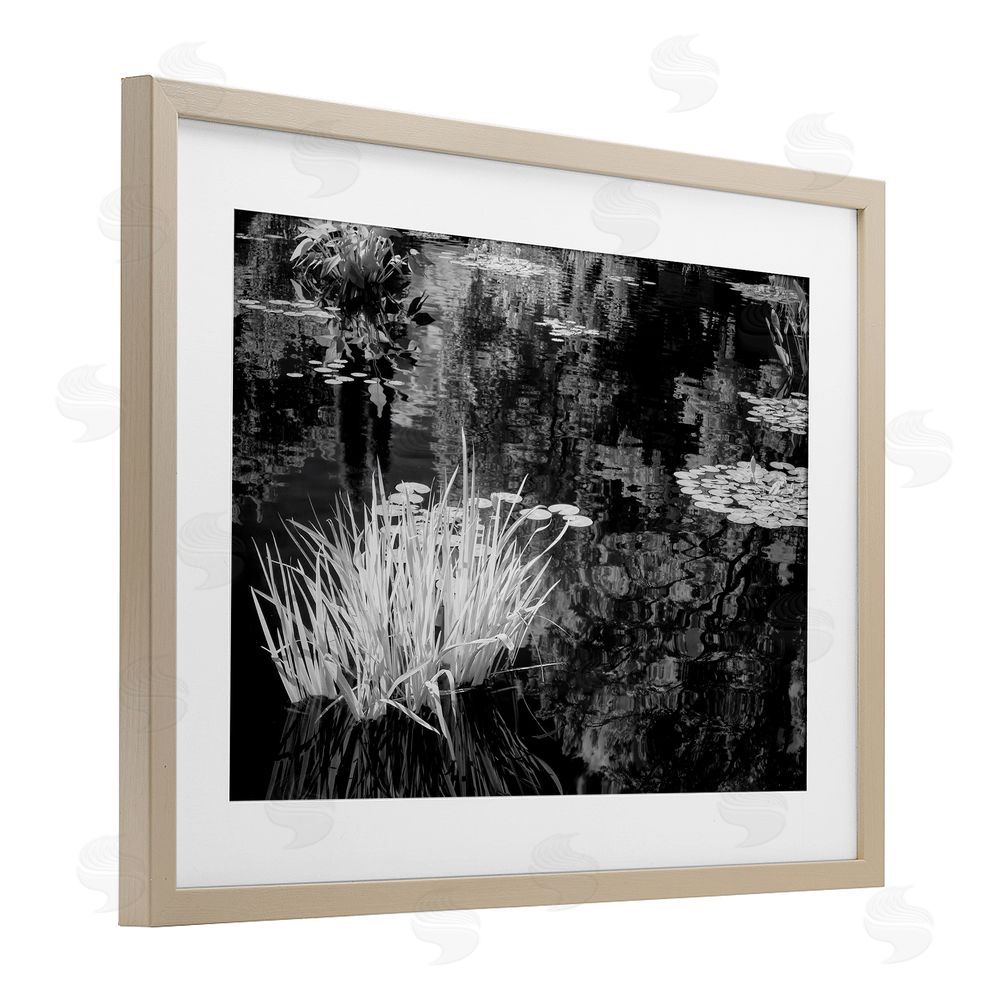 Jon Evan Water Grasses In A Pond Birch Framed Print Under Glass with White Mat Wall Art