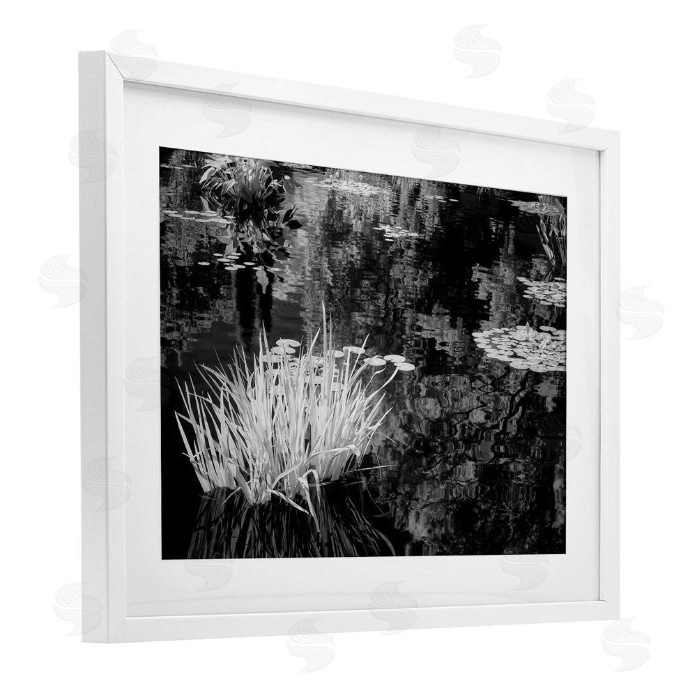 Jon Evan Water Grasses In A Pond White Framed Print Under Glass with Mat Wall Art