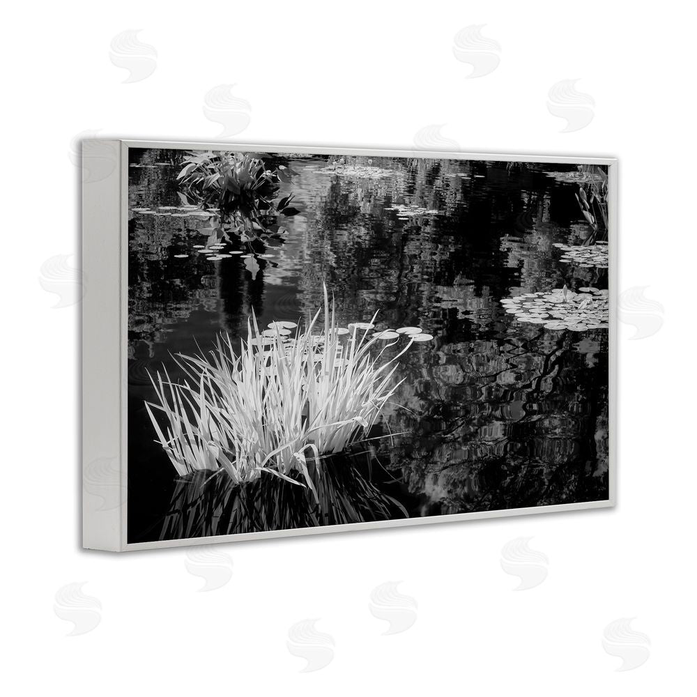 Jon Evan Water Grasses In A Pond White Framed Giclee Wall Art Print