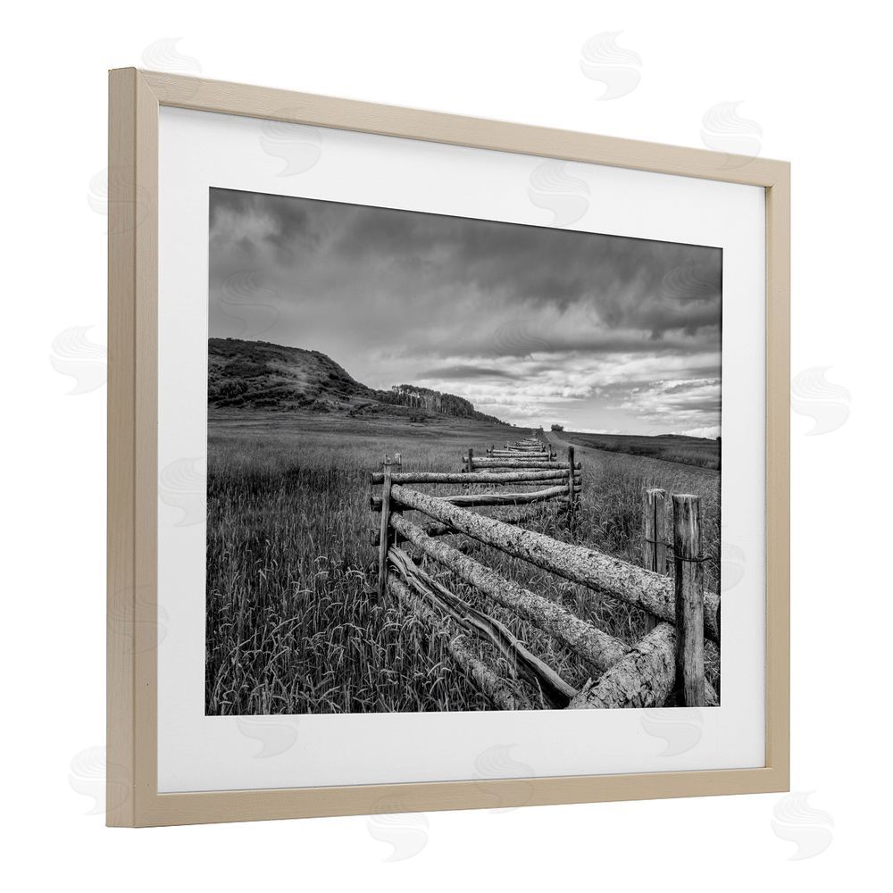 Jon Evan Zigzag Fence into Pasture Birch Framed Print Under Glass with White Mat Wall Art