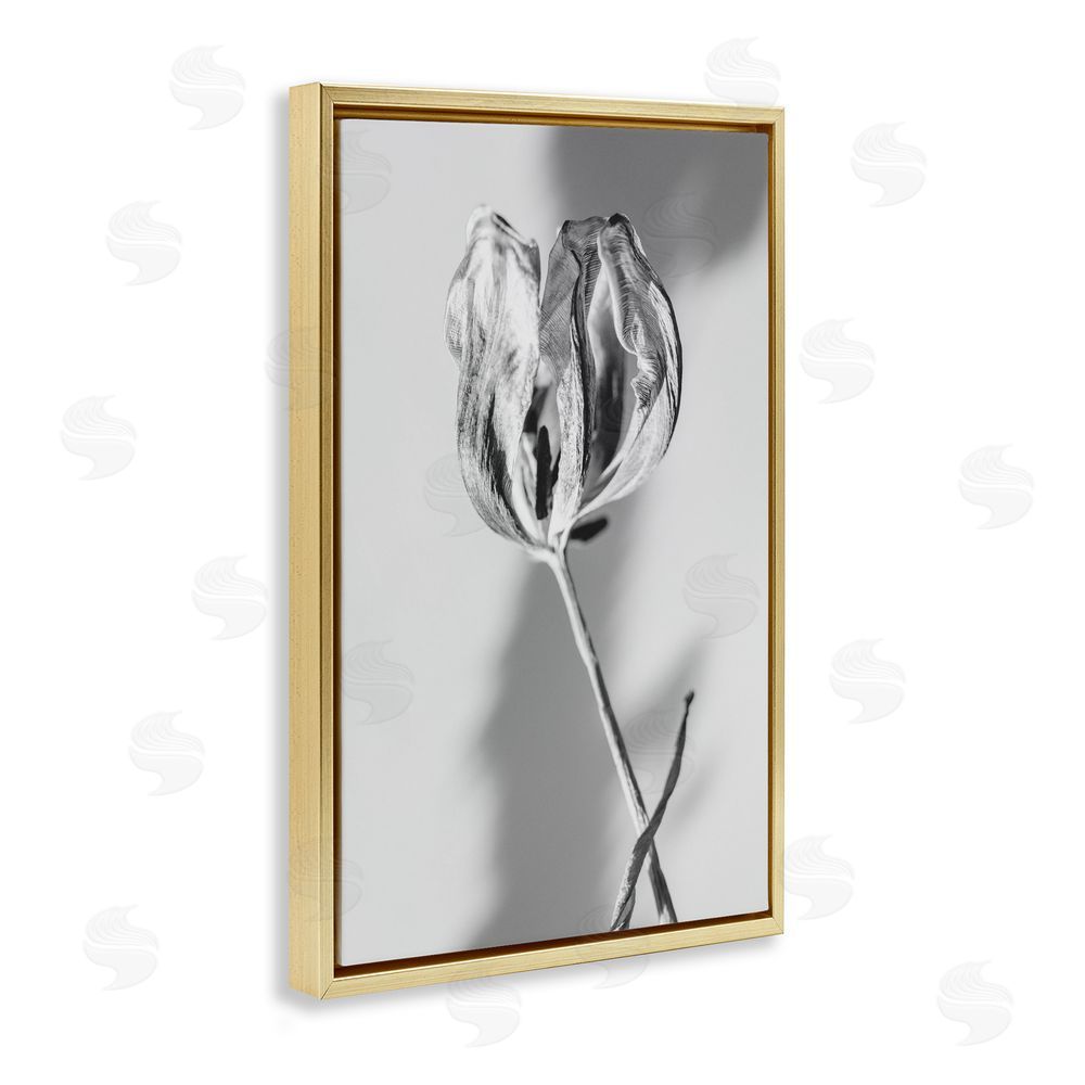 Amy Carroll Pale Requiem Tulip Gold Floating Frame Canvas Wall Art Print
