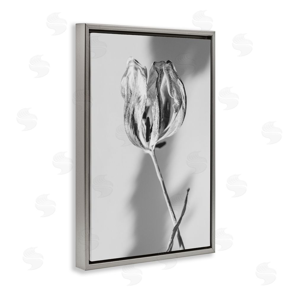 Amy Carroll Pale Requiem Tulip Gray Floating Frame Canvas Wall Art Print