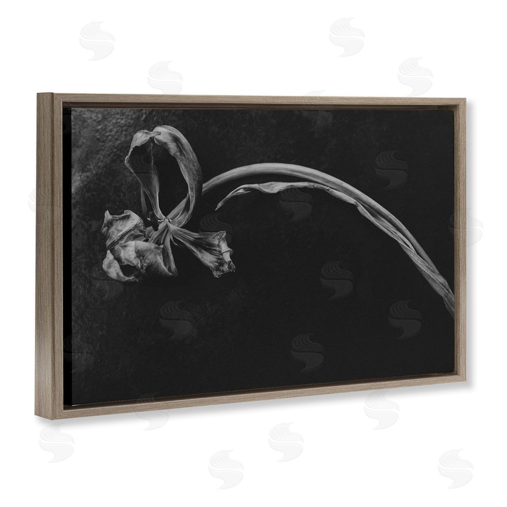 Amy Carroll Soft Collapse Flower Brown Floating Frame Canvas Wall Art Print
